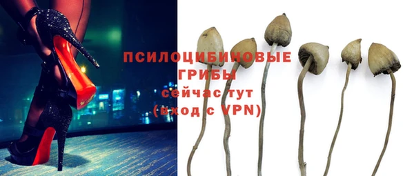 мяу мяу мука Майский