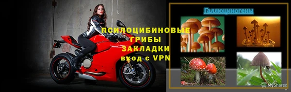 мяу мяу мука Майский